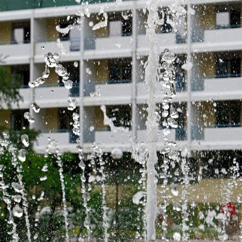 Photo #13612924
