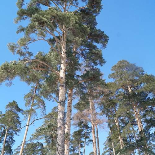 Photo #13612949