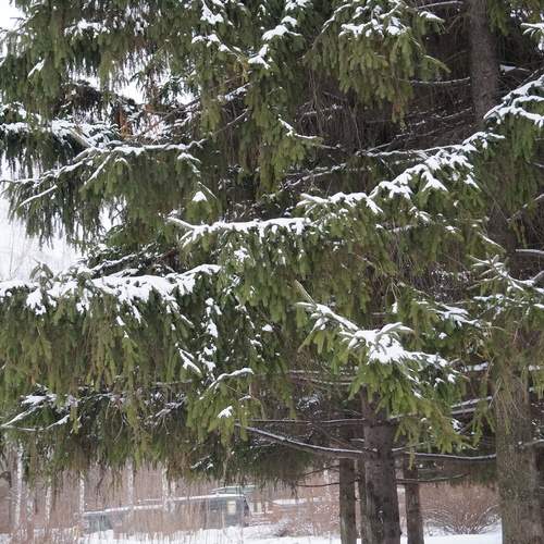 Photo #13612953