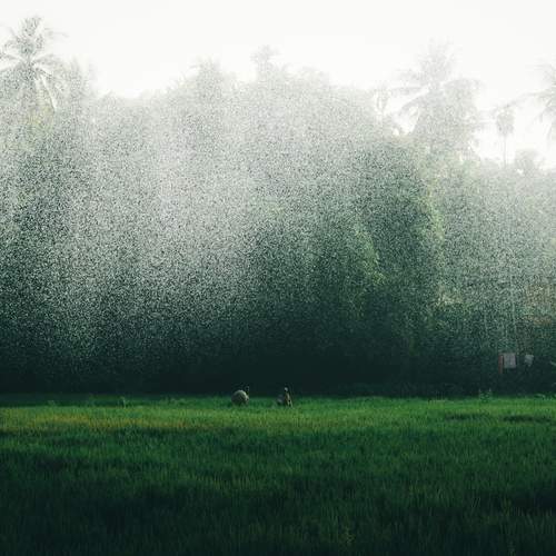 Photo #13612954