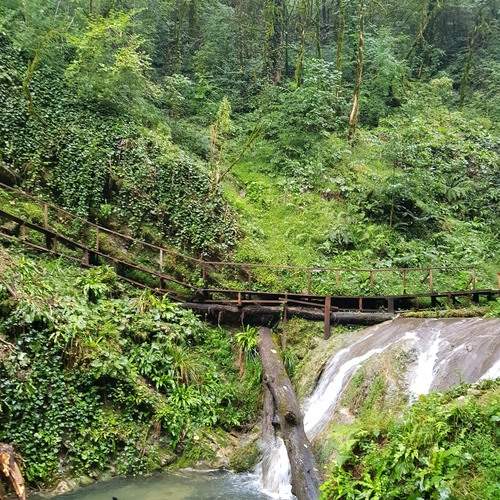 Photo #13612991