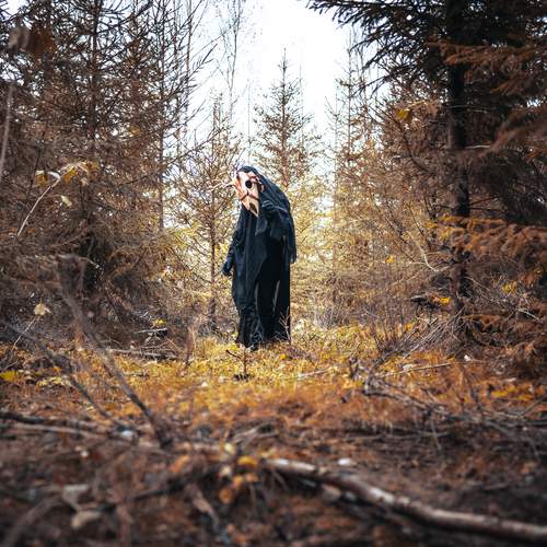 Photo #13613018