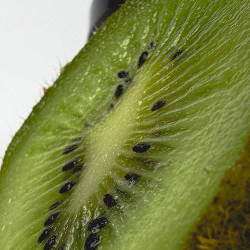 Photo #13613025