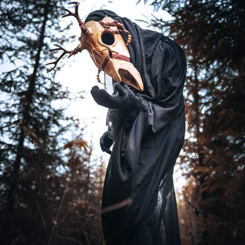 Photo #13613046