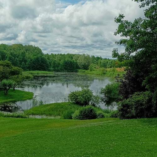 Photo #13613056