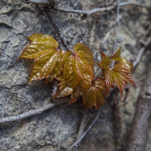 Photo #13613073