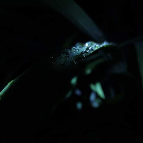 Photo #13613122