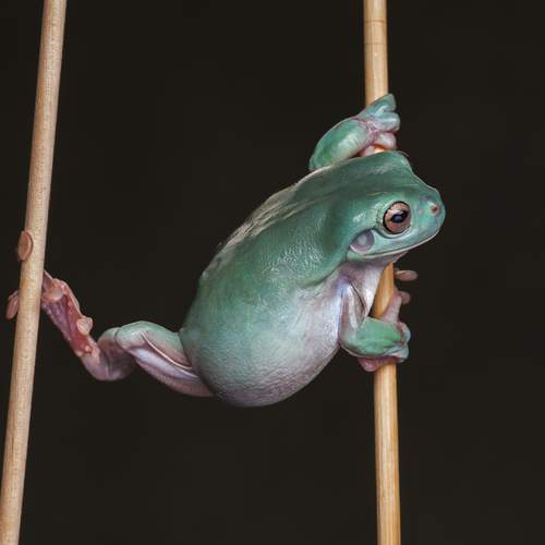 Photo #13613271