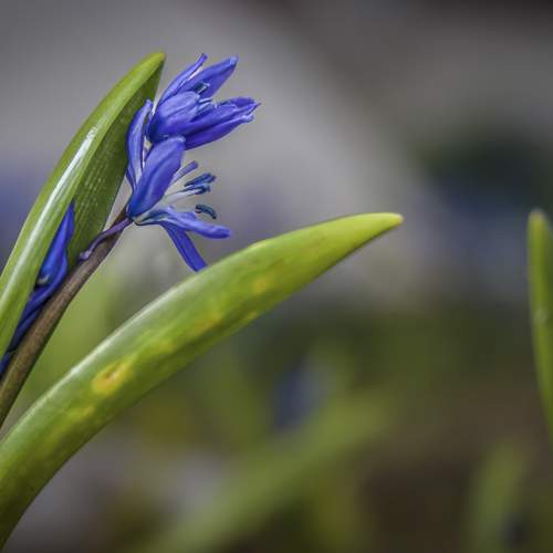 Photo #13613345