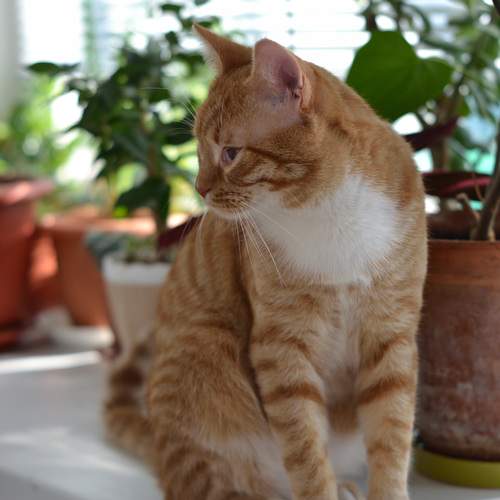 Photo #13613379
