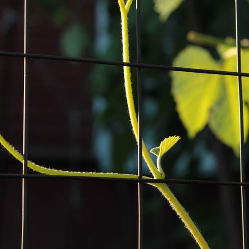 Photo #13613421