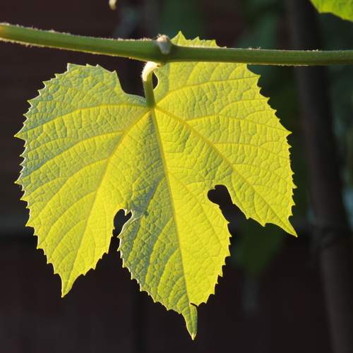 Photo #13613424
