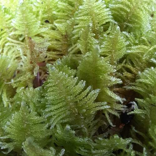 Photo #13613614