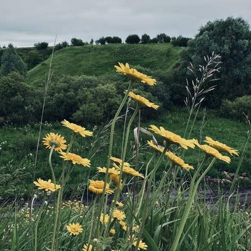 Photo #13613659