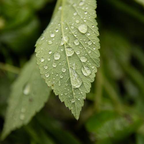 Photo #13613676