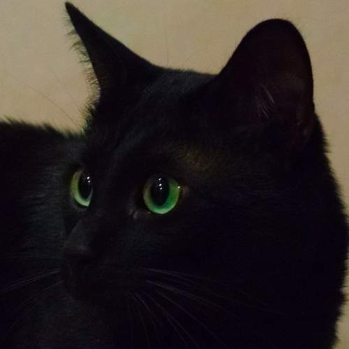 Photo #13613772
