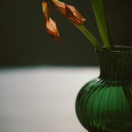 Photo #13613825