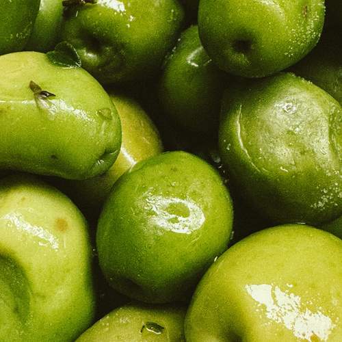 Photo #13613826