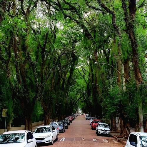 The most beautiful street in the world