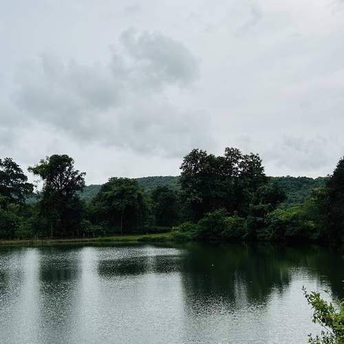 Photo #13613943
