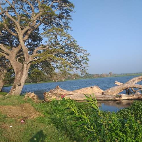 Photo #13613963