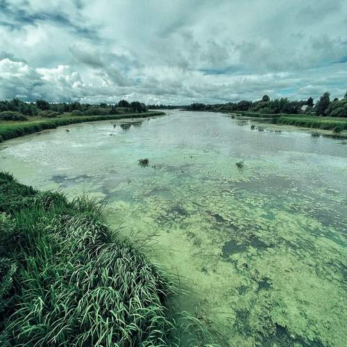 Photo #13613964