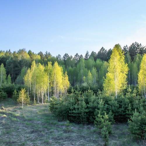 Photo #13614071