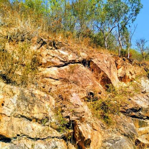 Photo #13614153