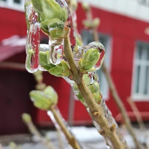 Photo #13614168