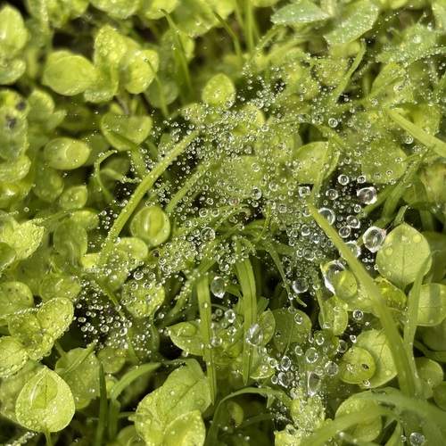 Photo #13614201