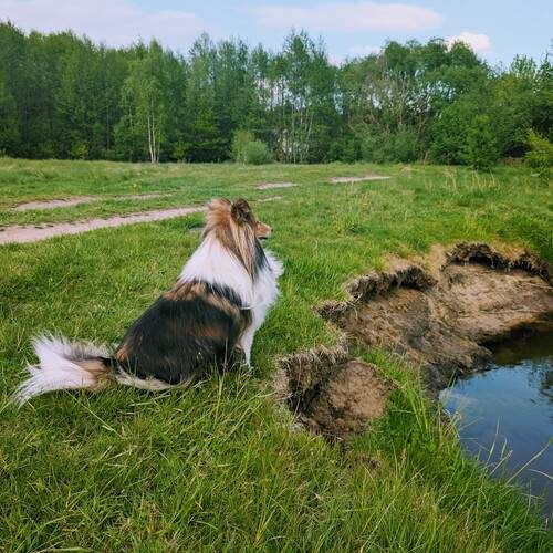 Photo #13614255