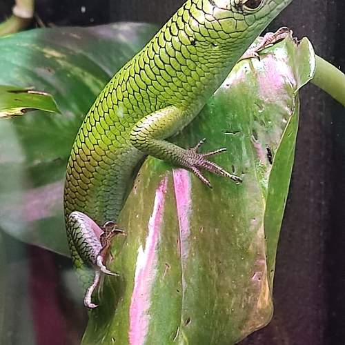 Photo #13614346