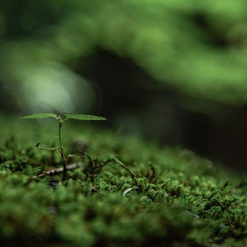 Photo #13614421