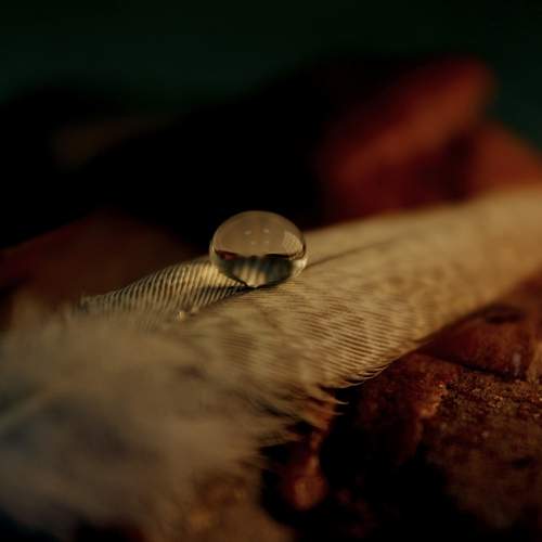 Photo #13614543