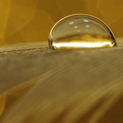 Photo #13614546
