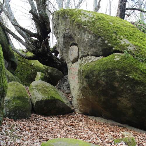 Photo #13614555