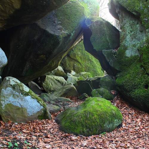 Photo #13614557