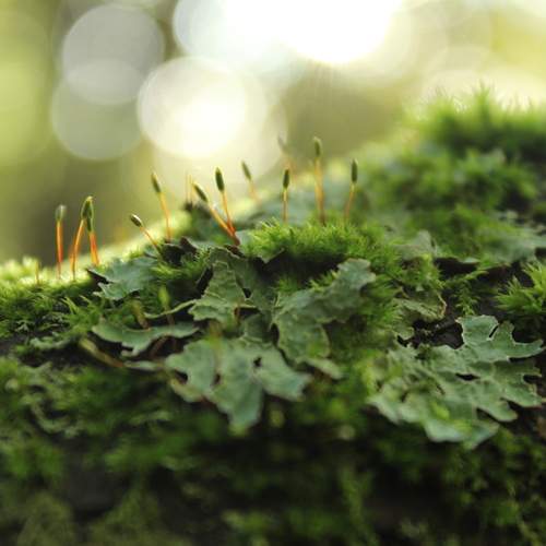 Photo #13614560