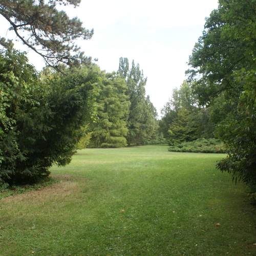 Photo #13614584