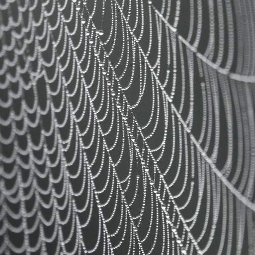Photo #13614656