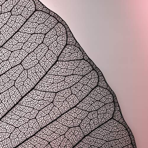 Veins of Eternity