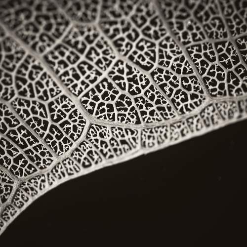 Fragile Geometry