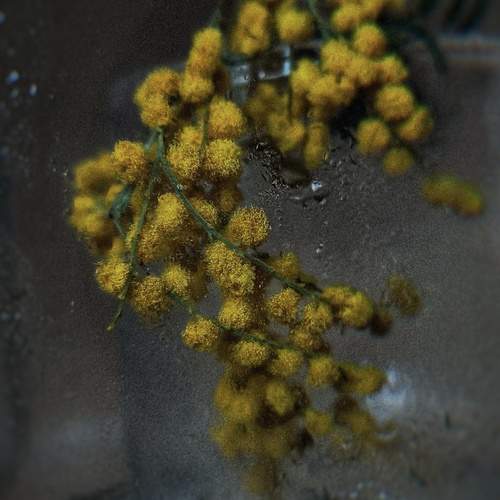 Photo #13614779
