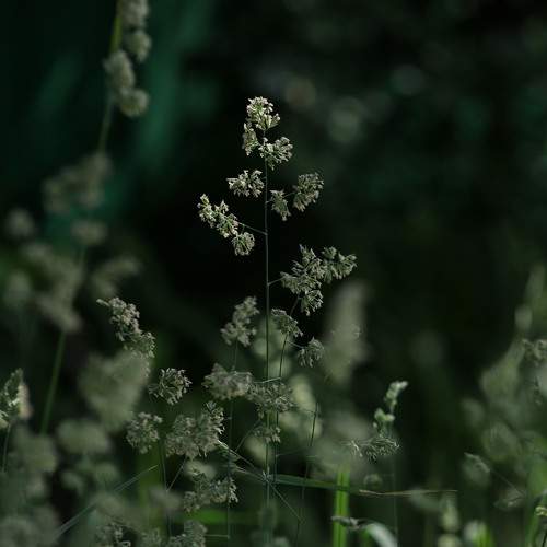 Photo #13614784
