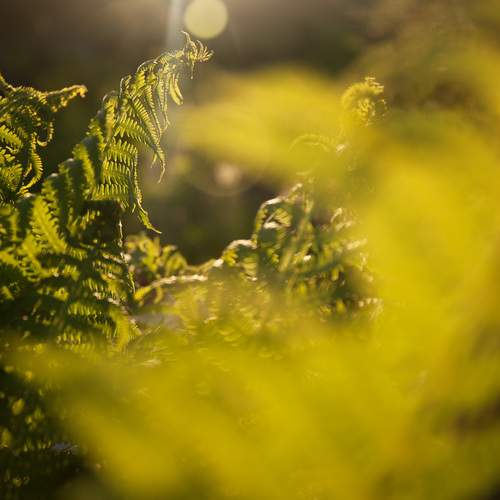 Photo #13614804