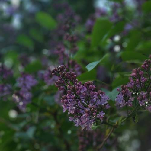 Photo #13614975