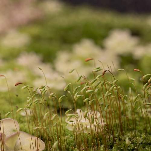 Photo #13615042