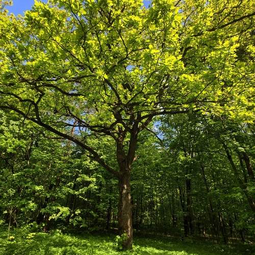 Photo #13615160