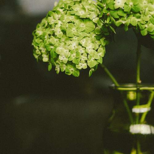 Photo #13615179