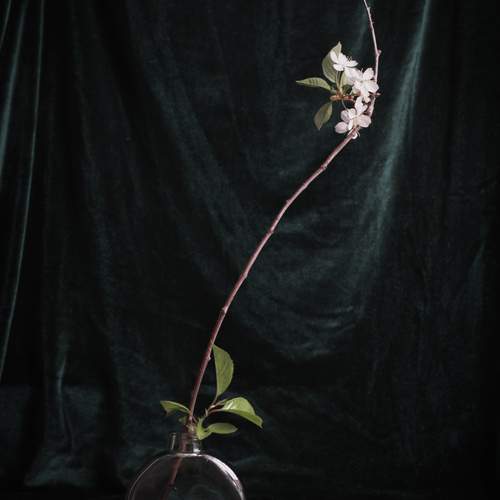Photo #13615180